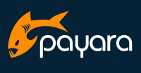 Payara Services Limited